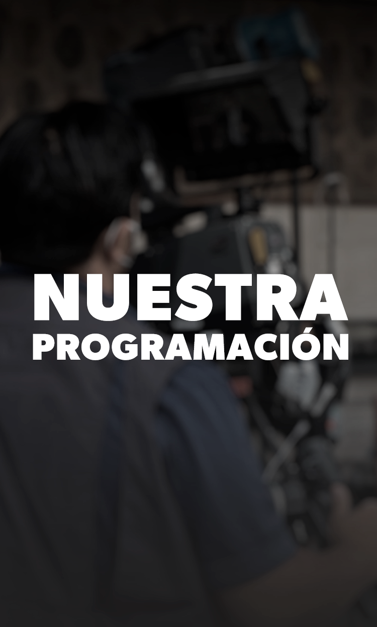Programación